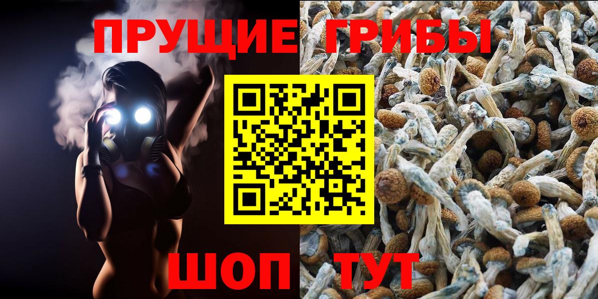 Галлюциногенные грибы GOLDEN TEACHER Кириши