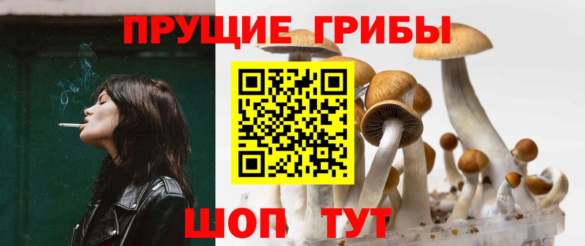 цена наркотик  Псилоцибиновые грибы мухоморы  Вход с VPN  Кириши 
